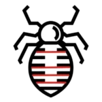 Bed-Bug.webp