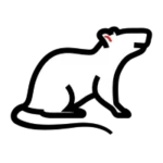Rodents.webp