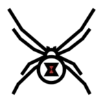 Spiders.webp