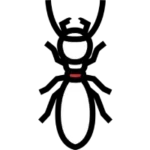 termites.webp